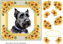 Sunflower Scottish terrier card front 7