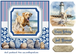 Beach Lab card front 1