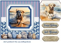 Beach Lab card front 3