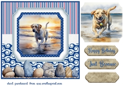 Beach Lab card front 4