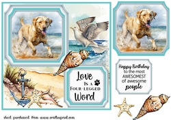 Panel beach lab card front 1