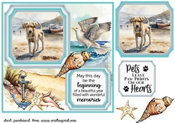 Panel beach lab card front 10