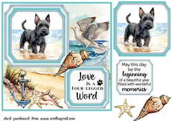 Scottish terrier on the beach card front (new) 1