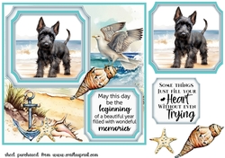 Scottish terrier on the beach card front (new) 2