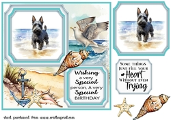 Scottish terrier on the beach card front (new) 4