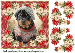 Christmas pup in jumper card front 5