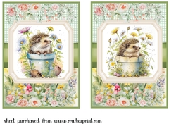 2 Framed floral hedgehog card fronts 1