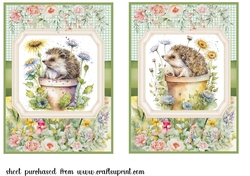 2 Framed floral hedgehog card fronts 2