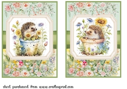2 Framed floral hedgehog card fronts 3