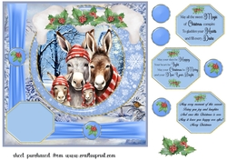 Framed Christmas family card front 3
