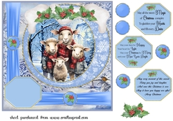 Framed Christmas family card front 4