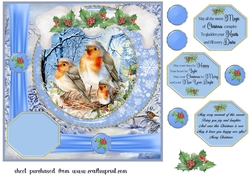 Framed Christmas family card front 5