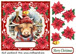 Poinsettia Highland cow card front 1