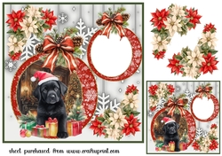 Snowflake Christmas pup card front 7