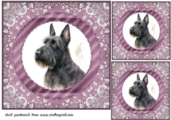 3 Purple and silver Scottish terrier card fronts/toppers 7