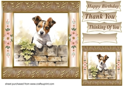 The nosy Jack Russell terrier card front 1
