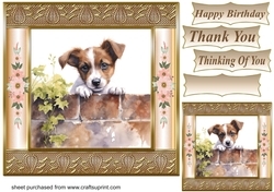 The nosy Jack Russell terrier card front 3