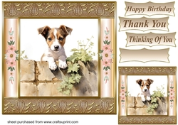 The nosy Jack Russell terrier card front 4