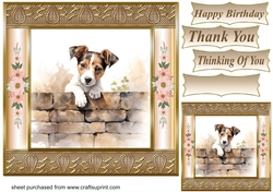 The nosy Jack Russell terrier card front 5