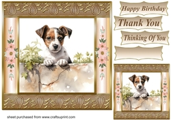 The nosy Jack Russell terrier card front 6