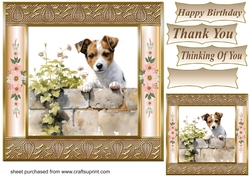The nosy Jack Russell terrier card front 7
