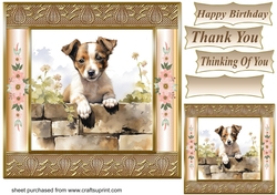 The nosy Jack Russell terrier card front 8
