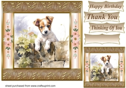 The nosy Jack Russell terrier card front 9