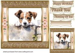 The nosy Jack Russell terrier card front 11