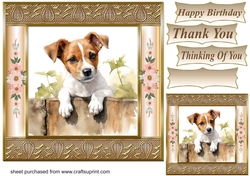 The nosy Jack Russell terrier card front 12