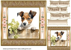 The nosy Jack Russell terrier card front 13