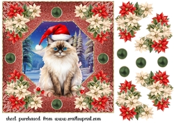 Christmas cat card front 17