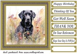 Floral black Labrador card front 2