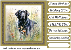 Floral black Labrador card front 6