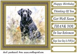 Floral black Labrador card front 11