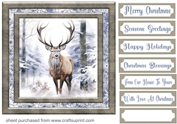 Framed Christmas stag card front 4