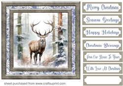 Framed Christmas stag card front 6