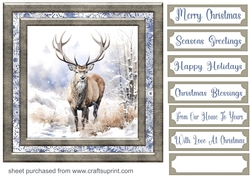 Framed Christmas stag card front 8