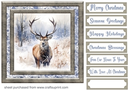 Framed Christmas stag card front 9