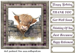 Nosy Highland cow card front 11