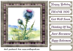 Tartan thistle card front 6