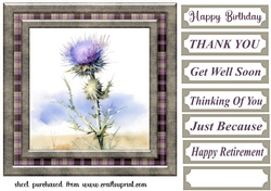 Tartan thistle card front 7