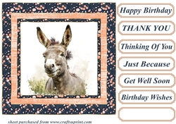 The happy donkey card front 1