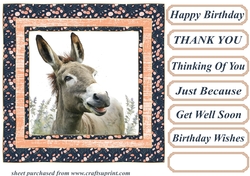 The happy donkey card front 4