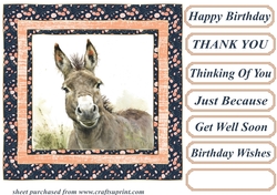 The happy donkey card front 5