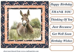 The happy donkey card front 6