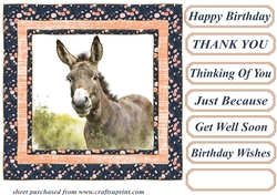 The happy donkey card front 7
