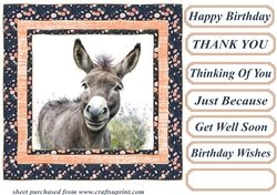 The happy donkey card front 8