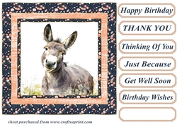 The happy donkey card front 9