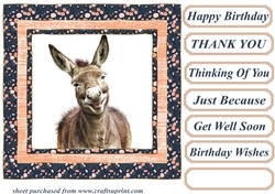The happy donkey card front 12