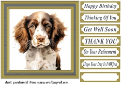 Springer pup card front 6